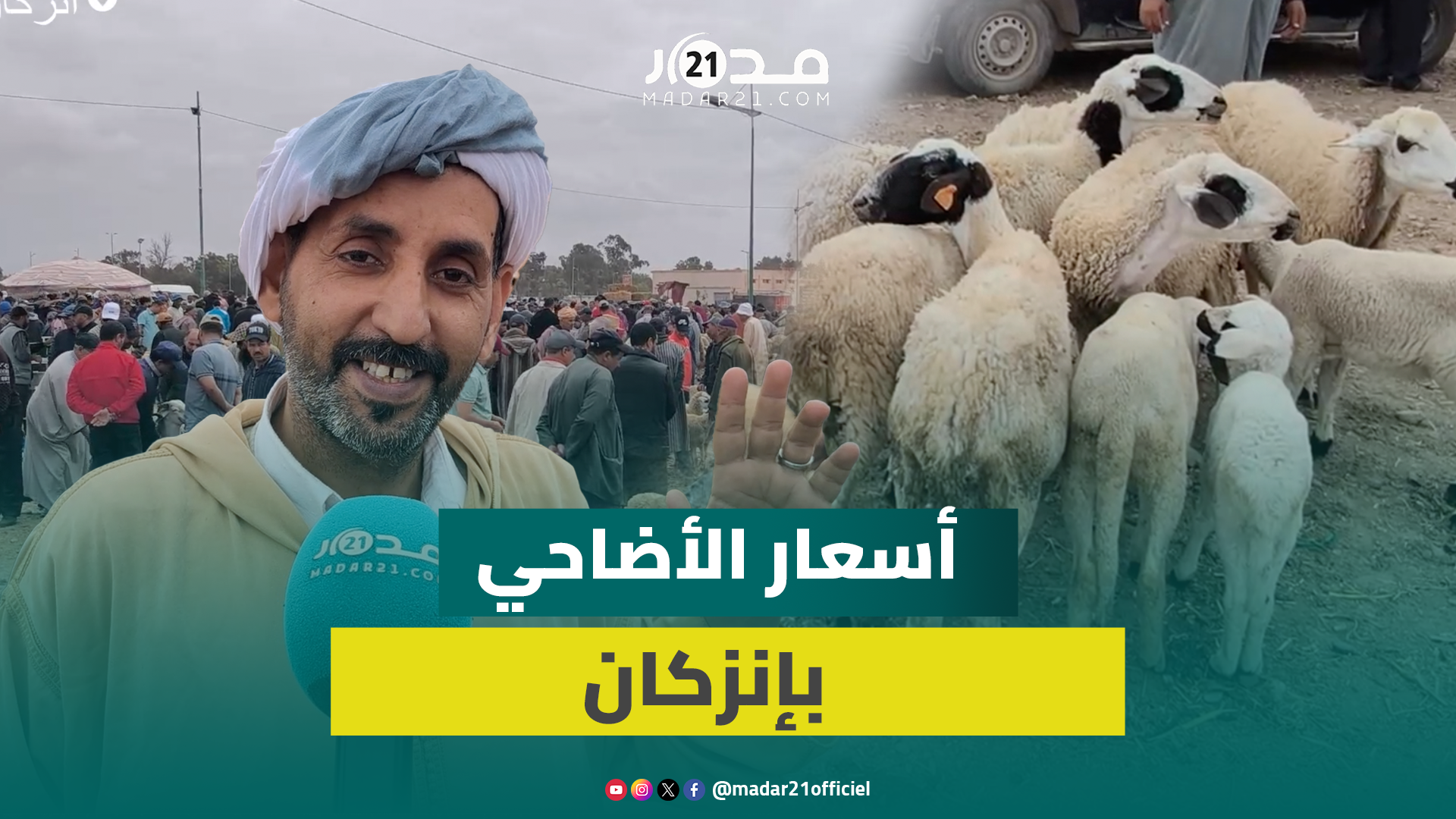 سوق الأغنام بإنزكان.. كسابة: مكاينش الشناقة والوسطاء هذا العام