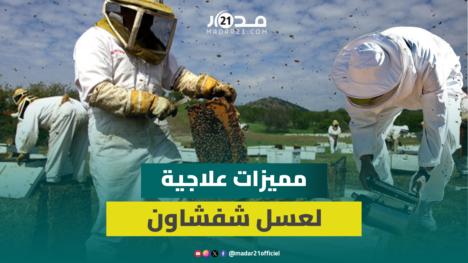 يتغدى على مرونة والزعتر.. مسير تعاونية يكشف أنواع العسل المنتجة في شفشاون ومميزاته العلاجية