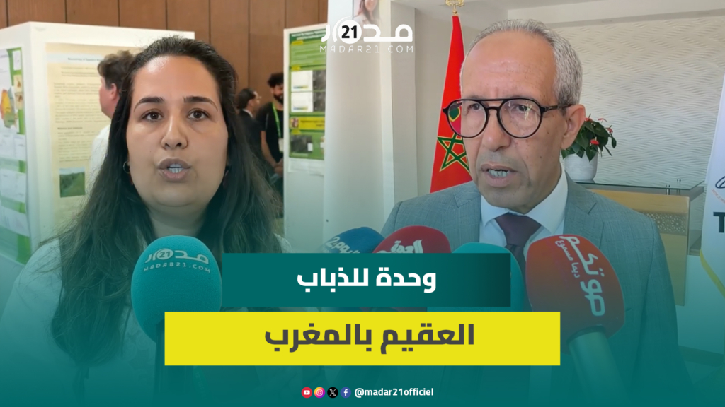 أكادير تحتضن خبراء من 40 دولة لمواجهة خطر ذبابة الفاكهة والمغرب يحدث وحدة لإنتاج الذباب العقيم