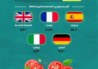 واردات الاتحاد الأوروبي من الطماطم المغربية