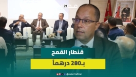 المكتب الوطني المهني للحبوب والقطاني يكشف خطة الحكومة لإنجاح موسم تسويق القمح