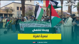 وجدة.. وقفة تضامنية حاشدة دعماً لغزة وتنديداً بالمجازر الإسرائيلية
