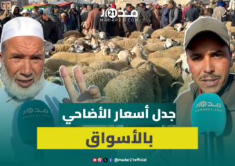 بعد تصريحات وزير الفلاحة.. مواطنون وكسابة: الشناقة “تيطحنو” المغاربة وحولي الدرويش ساوي 3000 درهم