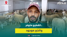 كساب: هناك وفرة كبيرة في القطيع والثمن انخفض بـ5 دراهم للكيلو مقارنة بالعام الماضي