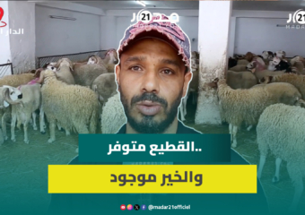 كساب: هناك وفرة كبيرة في القطيع والثمن انخفض بـ5 دراهم للكيلو مقارنة بالعام الماضي