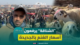 الوسطاء يسيطرون على سوق الأغنام بالجديدة قبيل العيد: لغنم كتباع بالليل للشناقة