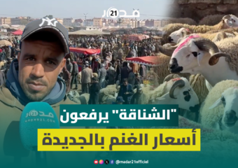 الوسطاء يسيطرون على سوق الأغنام بالجديدة قبيل العيد: لغنم كتباع بالليل للشناقة
