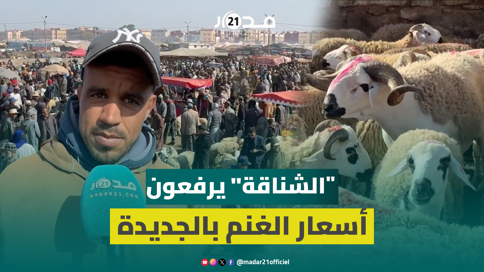 الوسطاء يسيطرون على سوق الأغنام بالجديدة قبيل العيد: لغنم كتباع بالليل للشناقة