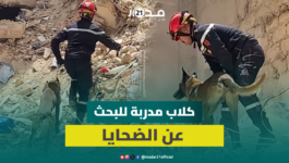 فرق الإنقاذ تستعين بالكلاب المدربة لانتشال ضحايا البناية المنها.رة بفاس