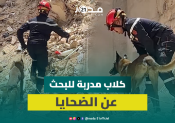 فرق الإنقاذ تستعين بالكلاب المدربة لانتشال ضحايا البناية المنها.رة بفاس