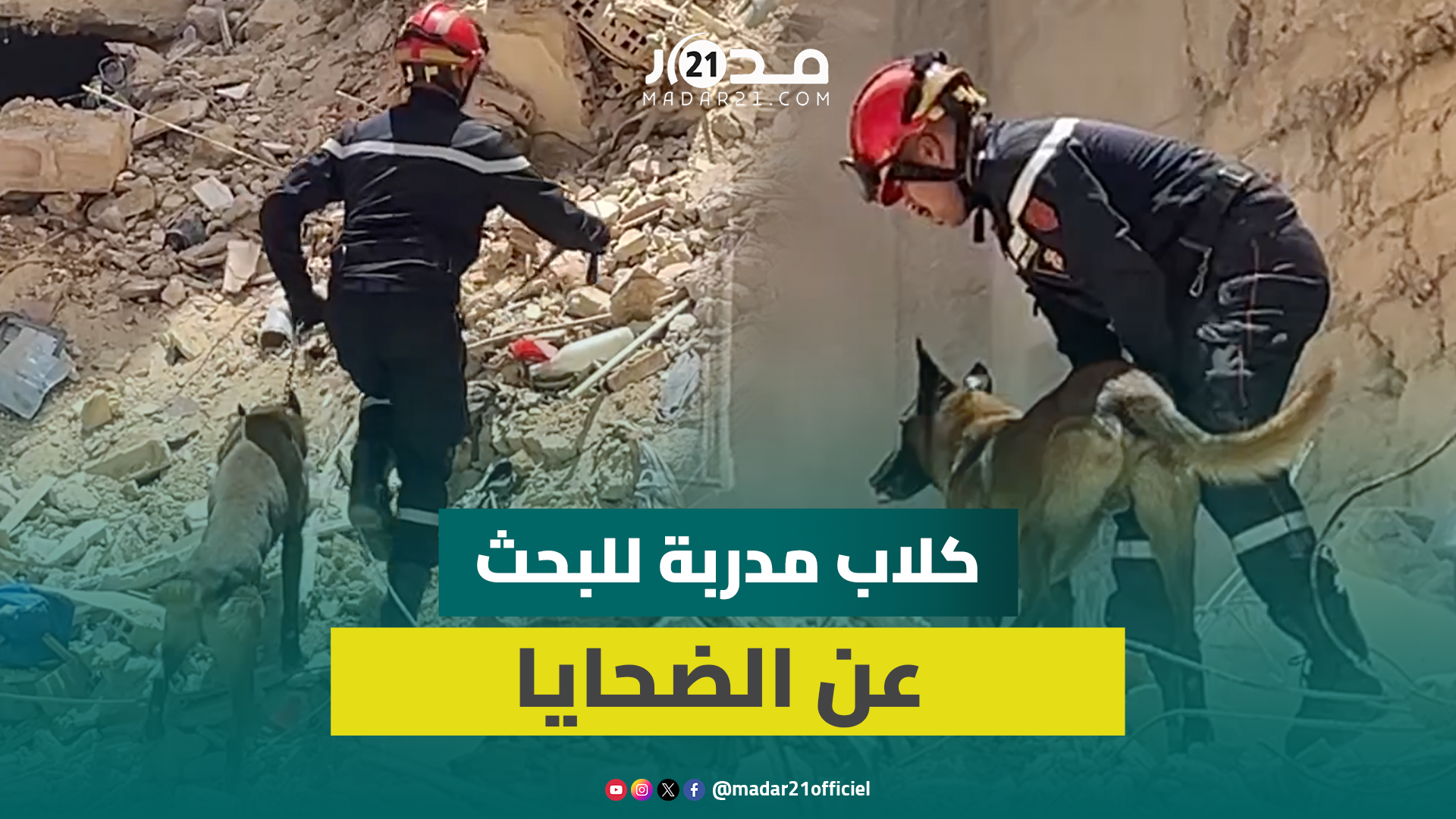 فرق الإنقاذ تستعين بالكلاب المدربة لانتشال ضحايا البناية المنها.رة بفاس