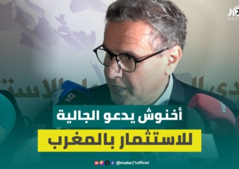 أخنوش: المغرب بحاجة لأبناء جاليته لمواكبة التنمية والاستثمار في قطاعات هامة