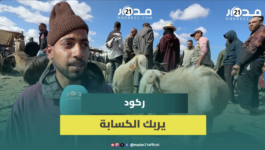كسابة يشكون ضعف الإقبال على اقتناء الأضاحي رغم وفرة العرض
