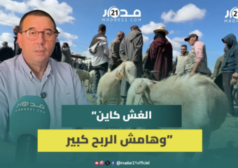 جدل “الشناقة” يتجدد .. مطالب بمراقبة دائمة للأسواق وليس فقط في الأعياد