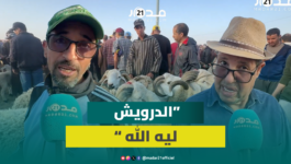 أسعار “خيالية” للأضاحي قبل العيد ومواطنون: إلى ما عندكش 5 آلاف درهم متعيدش