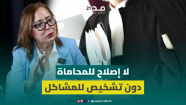 التامني: لا إصلاح للمحاماة دون تشخيص مشاكل المهنة والحكومة تستعمل سلا.ح الأغلبية ضد الجميع