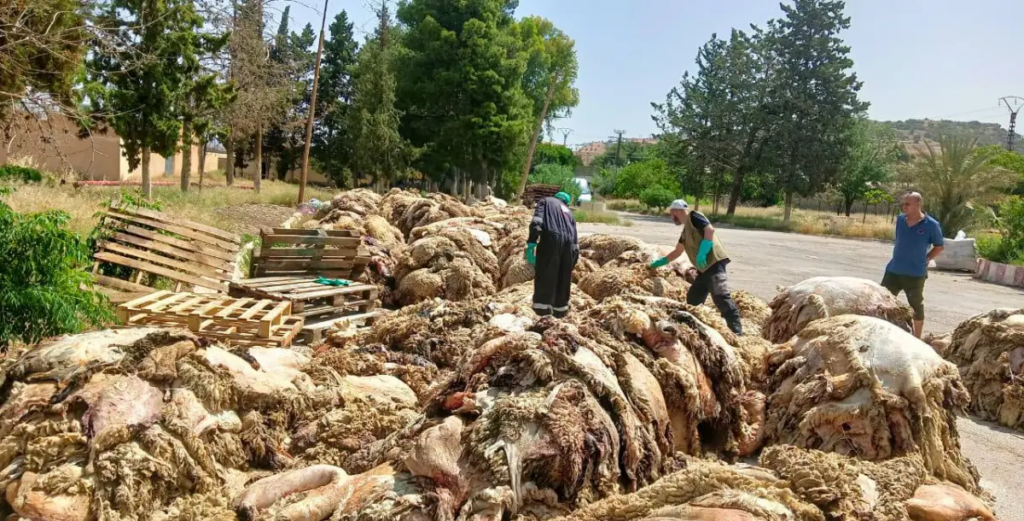 “الهيدورة”.. تراث مغربي يختفي بصمت مع تغير أنماط العيش