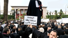 رئيس مجلس المنافسة: رَأْينَا بشأن مشروع قانون المحاماة سيصدر نهاية شهر يونيو