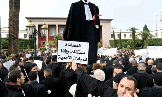 رئيس مجلس المنافسة: رَأْينَا بشأن “قانون المحاماة” سيصدر نهاية يونيو