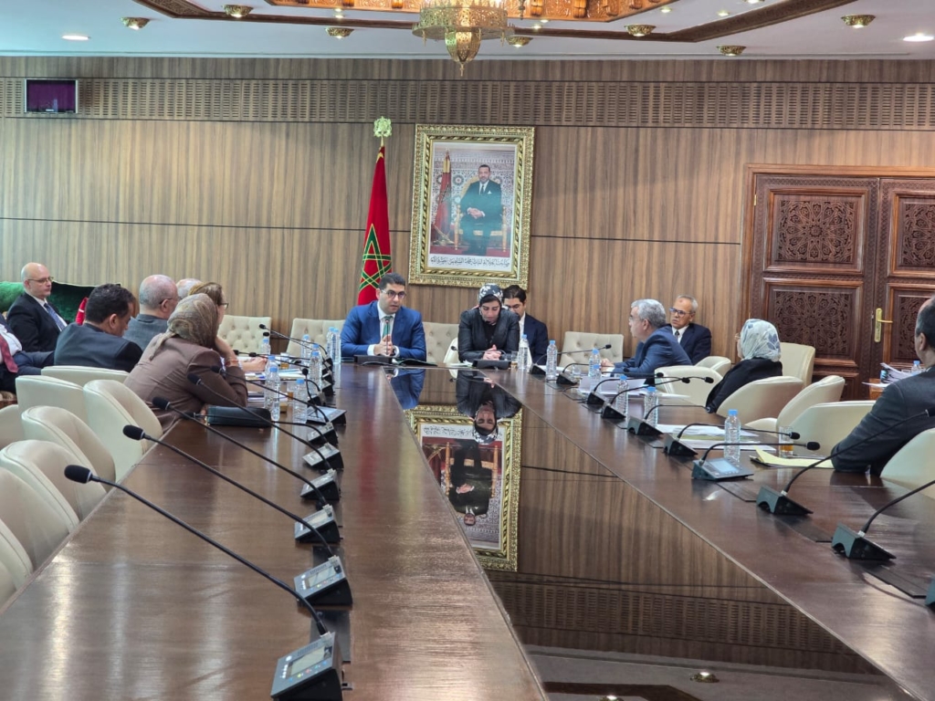 بنسعيد: المحكمة الدستورية ليست فاعلا سياسا وعالجنا اختلالات مجلس الصحافة بعيدا عن الصراعات