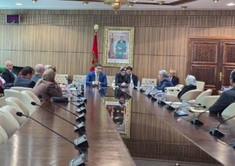 بنسعيد: المحكمة الدستورية ليست فاعلا سياسا وعالجنا اختلالات مجلس الصحافة بعيدا عن الصراعات