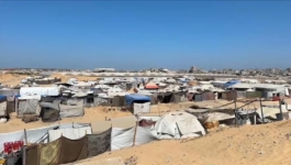 في قلب المواصي بغزة.. مبادرة زراعية صغيرة تكافح الجوع بالإمكانات المتاحة