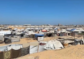 في قلب المواصي بغزة.. مبادرة زراعية صغيرة تكافح الجوع بالإمكانات المتاحة