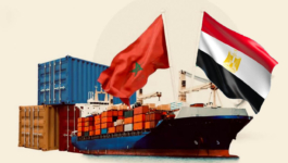 1,6 ملايين طن واردات المغرب الغذائية من مصر و20% فقط خضعت للمراقبة المخبرية