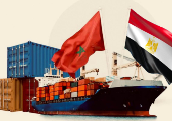 1,6 ملايين طن واردات المغرب الغذائية من مصر و20% فقط خضعت للمراقبة المخبرية