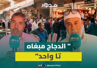 الإقبال على الغنمي يُضعف الطلب على الدجاج والأسعار تنخفض لأدنى المستويات