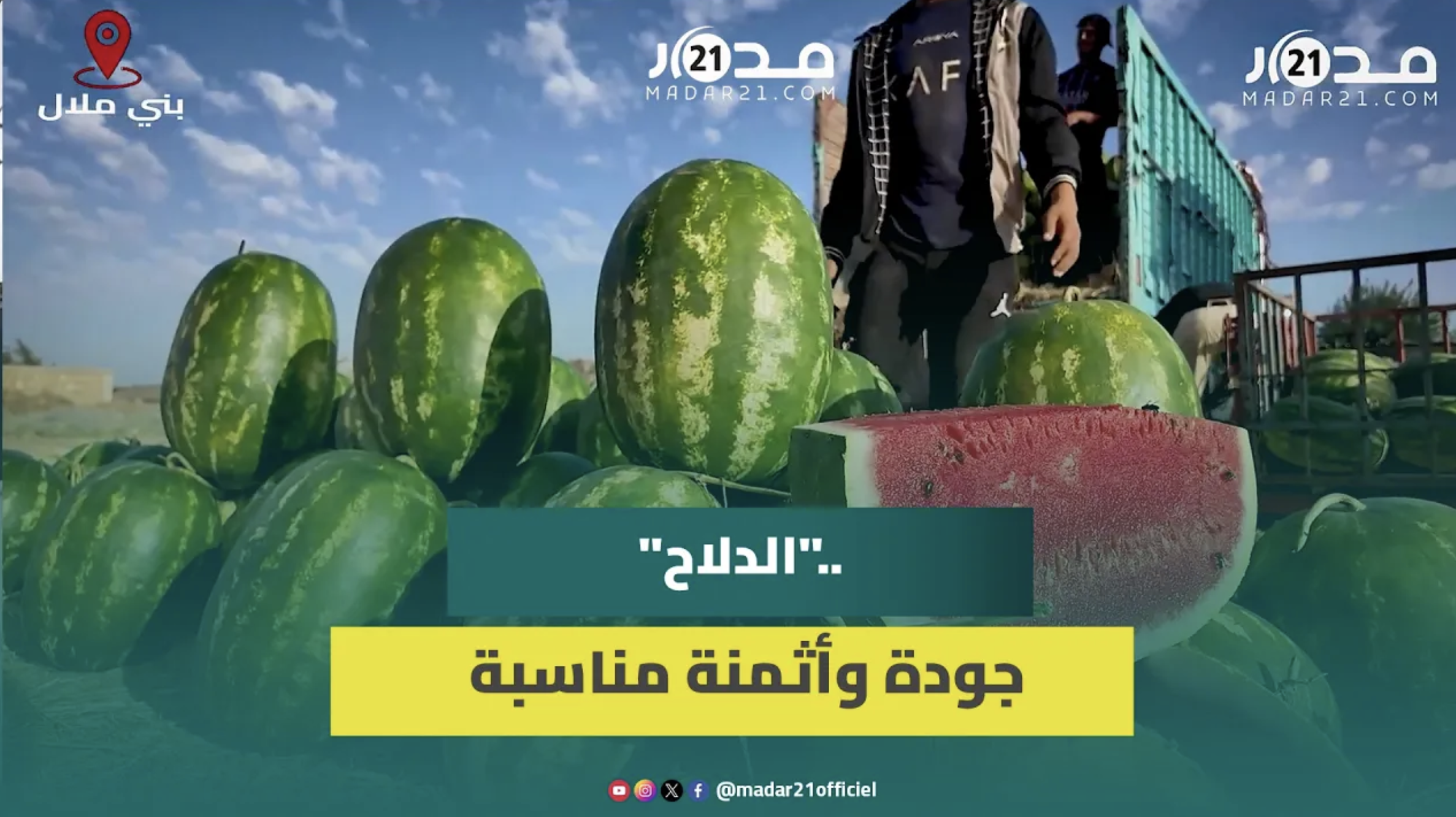 بين عرق الفلاح وجشع المصانع.. نبتة الكبار بمولاي يعقوب تثير الجدل