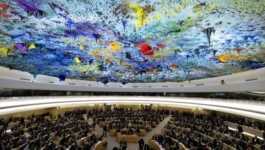 مجلس حقوق الإنسان يدعو من جنيف لتعزيز الموارد البشرية والمالية للقطاع الصحي