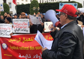 بعد اجتماعها مع المدير العام.. نقابة “وكالة التنمية الفلاحية” تُعلق التصعيد