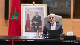 الجواهري: الدعم الاجتماعي المباشر ظرفي ولا يمكن أن يستمر إلى الأبد