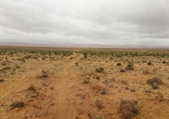 ندوة وطنية بورزازات تناقش تدبير أملاك الجماعات السلالية