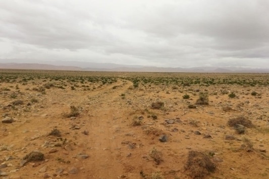 ندوة وطنية بورزازات تناقش تدبير أملاك الجماعات السلالية