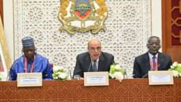 ولد الرشيد يؤكد مركزية إفريقيا في الدبلوماسية البرلمانية المغربية