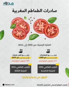 تطور صادرات الطماطم المغربية