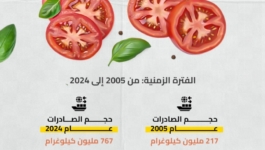 تطور صادرات الطماطم المغربية