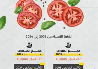 تطور صادرات الطماطم المغربية