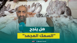 هل ينجح «السمك المجمد» في ترميم قطاع الصيد البحري بعهد الدرويش؟
