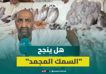 هل ينجح «السمك المجمد» في ترميم قطاع الصيد البحري بعهد الدرويش؟