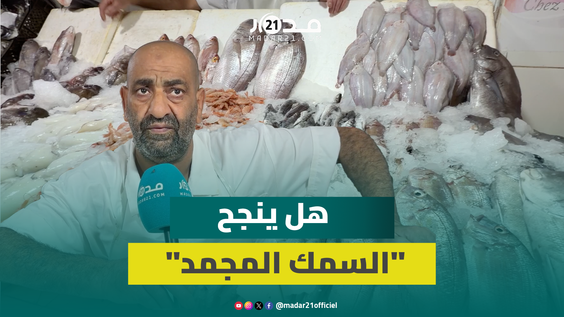 هل ينجح «السمك المجمد» في ترميم قطاع الصيد البحري بعهد الدرويش؟