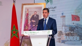 عبد النباوي: 449 حكماً في الجرائم المالية و720 قراراً في قضايا غسل الأموال خلال 2025
