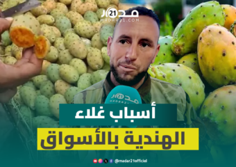 تصل أسعار إلى 6 دراهم للحبة الواحدة.. تاجر بالتقسيط يكشف أسباب غلاء الهندية