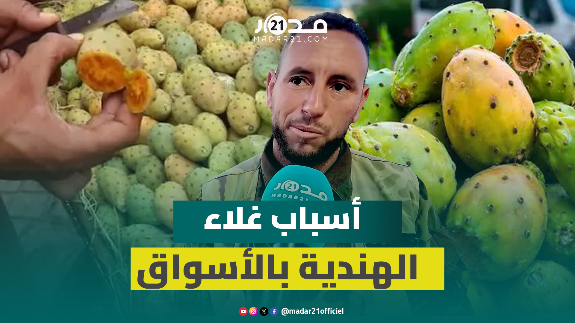 تصل أسعار إلى 6 دراهم للحبة الواحدة.. تاجر بالتقسيط يكشف أسباب غلاء الهندية