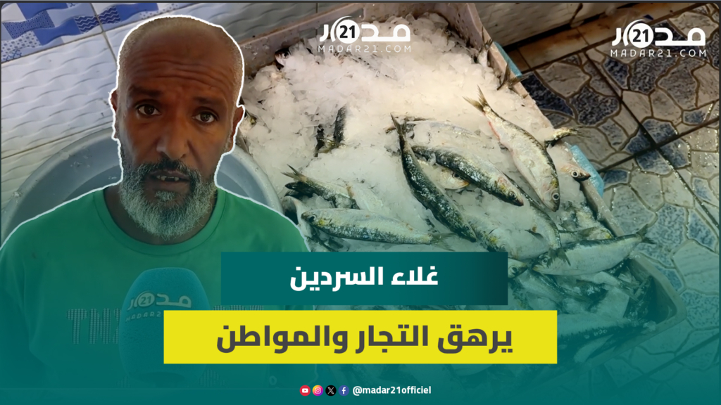 25 درهم للكيلو.. تجار السردين يوضحون أسباب غلاءه ويحملون الدرويش المسؤولية