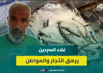 25 درهم للكيلو.. تجار السردين يوضحون أسباب غلاءه ويحملون الدرويش المسؤولية