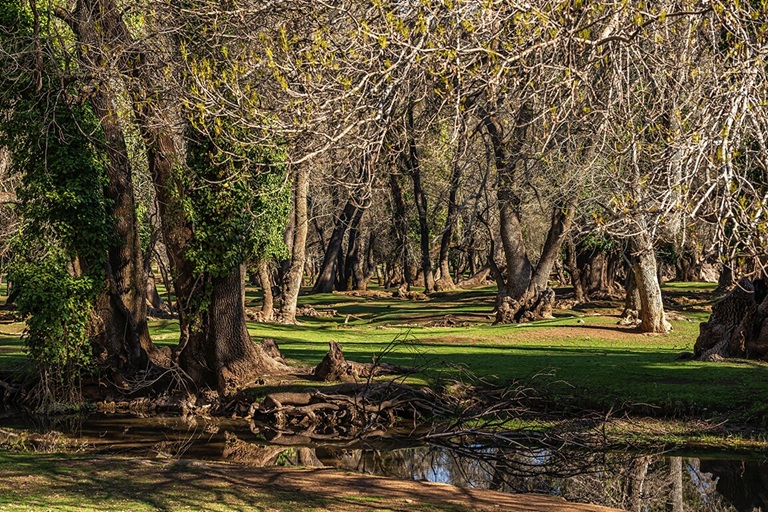 مهرجان إفران يحتفي بالتراث الطبيعي للأطلس المتوسط