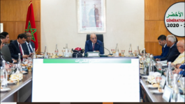 وزارة الفلاحة: جهة الغرب تسجل قفزة بـ37% في إنتاج الحبوب